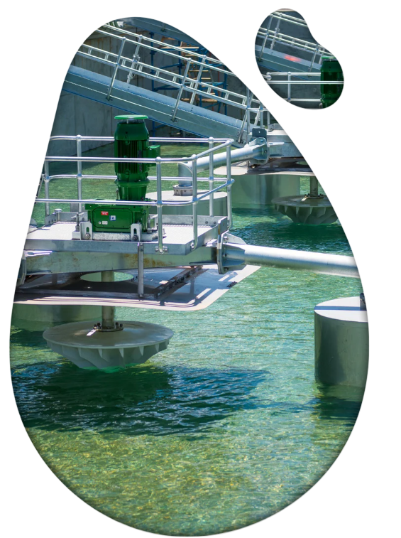 Illustration d’un réseau ou d’un bassin versant