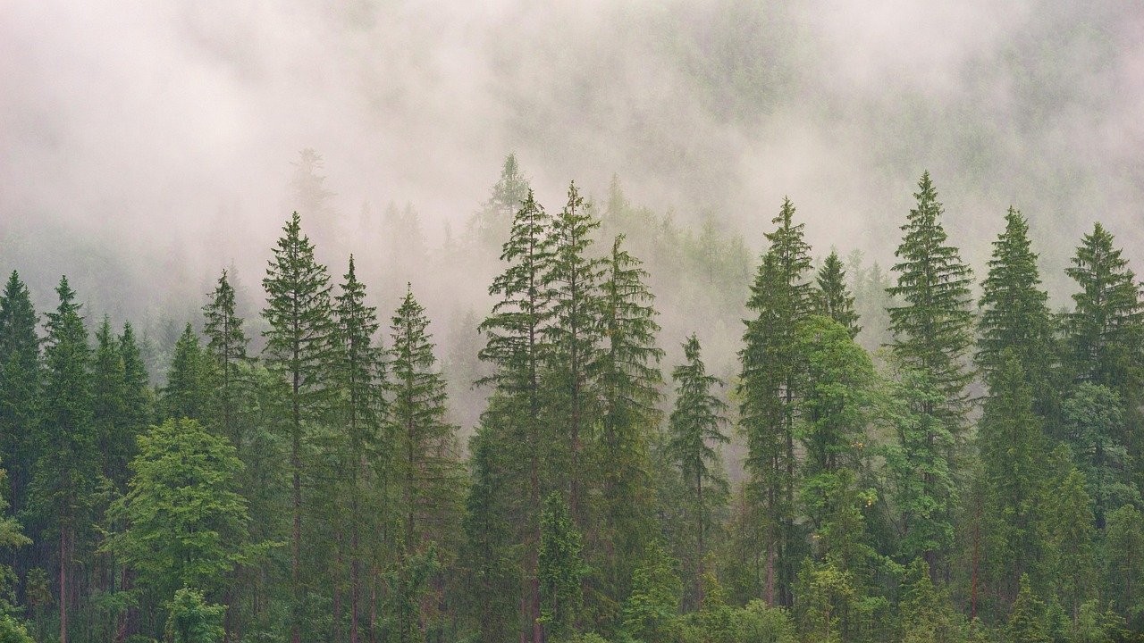 Paysage naturel utilisé pour illustrer le diagnostic écologique